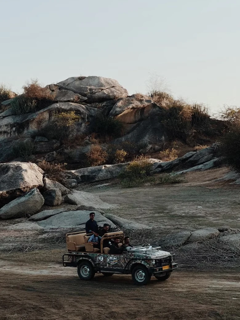 Jawai in July–September: Why Monsoon Season Is Still Worth It for a Leopard Safari