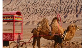 How to Reach Jawai from Jodhpur, Udaipur & Ahmedabad – A Complete Travel Guide