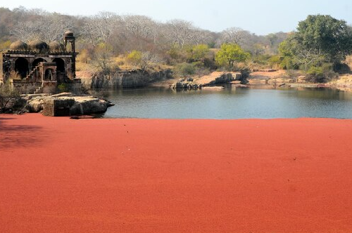 Top Things to Do at Jalsa Jawai Resort for a Relaxing Holiday