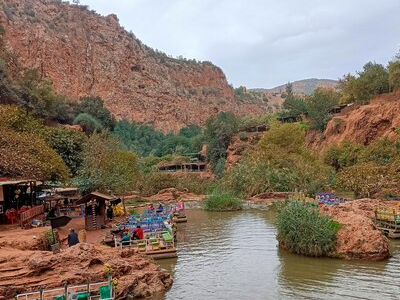 Jawai vs. Ranthambore: Which Wildlife Safari is Best for You?