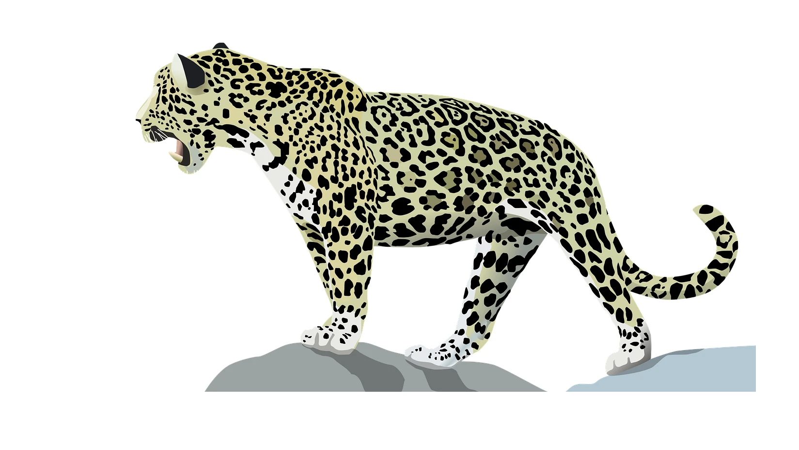 Jawai Leopard Safari Packages Explained: What's Included