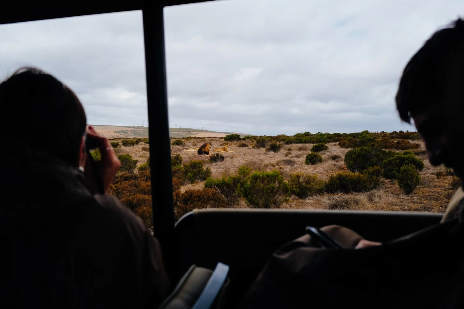 Jawai Safari Booking Guide 2026: Everything You Need to Know