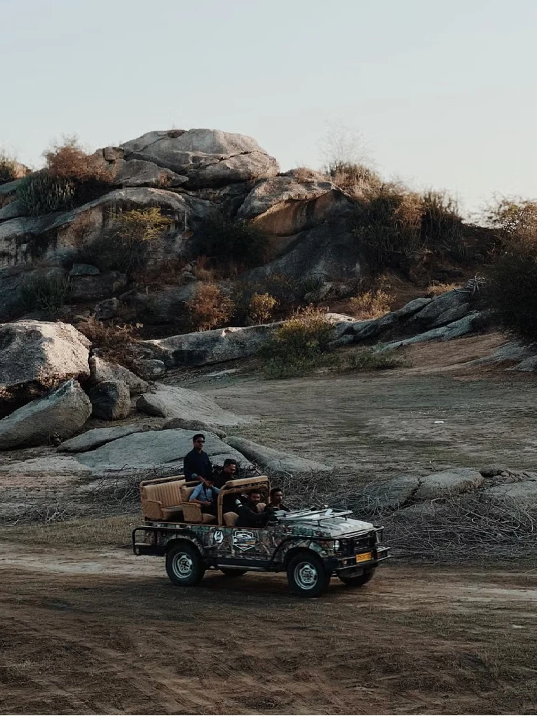 Best Time to Visit Jawai for Leopard Safari