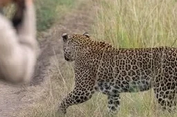 Jawai Heritage Resort: Does Jawai Have Heritage Style Stays