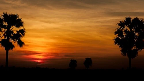 Things to Do in Jawai