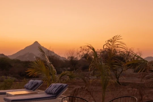 Jawai vs Ranthambore: Which Wildlife Safari Is Right for You?