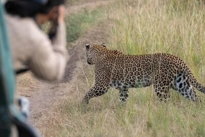 Why Jawai is Rajasthan
